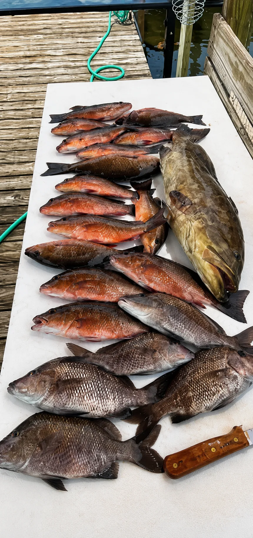 Full Day Back Bay